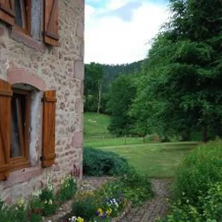 Superbe Ferme Renovee Avec Cheminee, Wifi, Et Jeux Exterieurs Pres De Gerardmer Et Epinal - Fr-1-589-28 * Belmont-Sur-Buttant