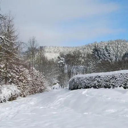 Superbe Ferme Renovee Avec Cheminee, Wifi, Et Jeux Exterieurs Pres De Gerardmer Et Epinal - Fr-1-589-28 Landhuis Belmont-Sur-Buttant