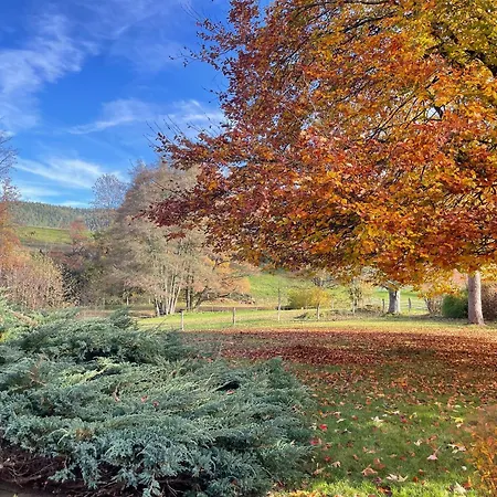 Superbe Ferme Renovee Avec Cheminee, Wifi, Et Jeux Exterieurs Pres De Gerardmer Et Epinal - Fr-1-589-28 *