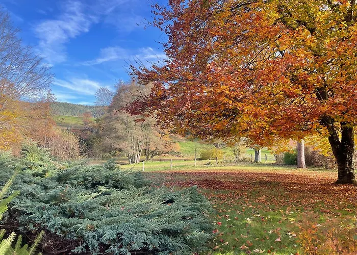 Superbe Ferme Renovee Avec Cheminee, Wifi, Et Jeux Exterieurs Pres De Gerardmer Et Epinal - Fr-1-589-28 *